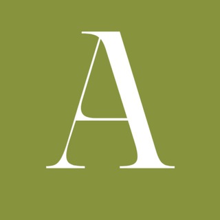 Авантюрист в Абу-Даби avatar
