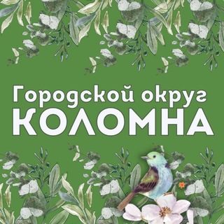 Городской округ Коломна avatar