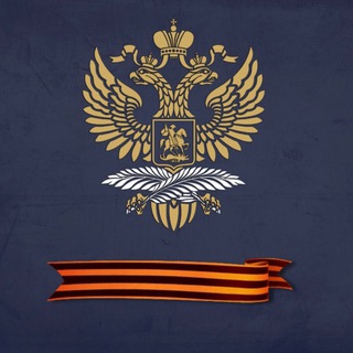 Посольство Российской Федерации в Республике Молдова/ Ambasada Federației Ruse în Republica Moldova avatar