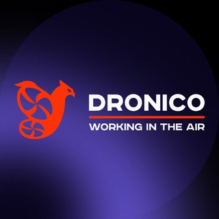 DRONICO RU avatar