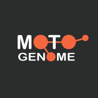 MotoGenome / Мото Геном avatar