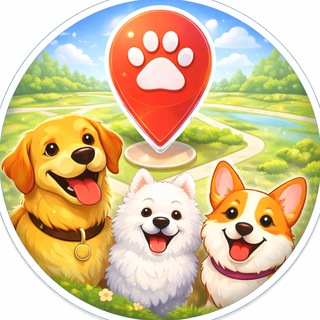 Wufy — новости avatar